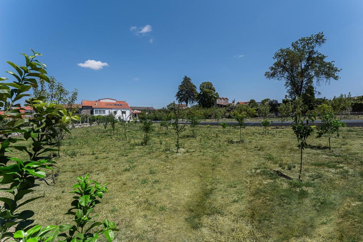 Villa Sevenfarm Mangualde Exterior foto
